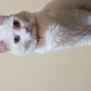 Isabel Mtz