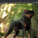 Christopher Brundage