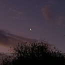 Paupau 
