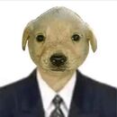 Sergio Gracia López