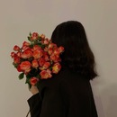 Aisha Alqarni