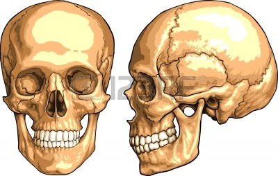 Map Quiz: Mandibula (imesap - mandibula - huesos)