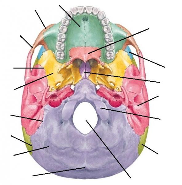 Map Quiz: Mandibula (imesap - mandibula - huesos)