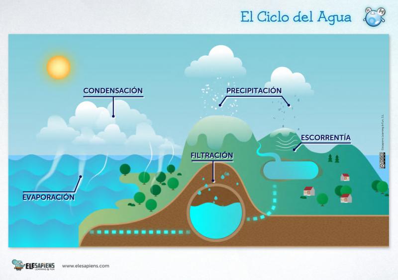 El ciclo del agua