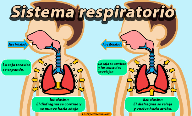 Imagen relacionada