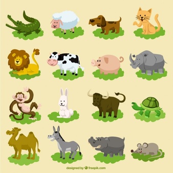 animales terrestres