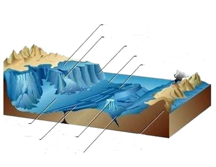 Imprimir Mapa Interactivo Formas Del Relieve Oceanico 1 Eso