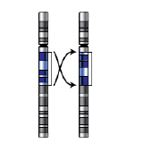 Print Matching Pairs: MUTACIONES CROMOSÓMICAS (biología - oposaitor)