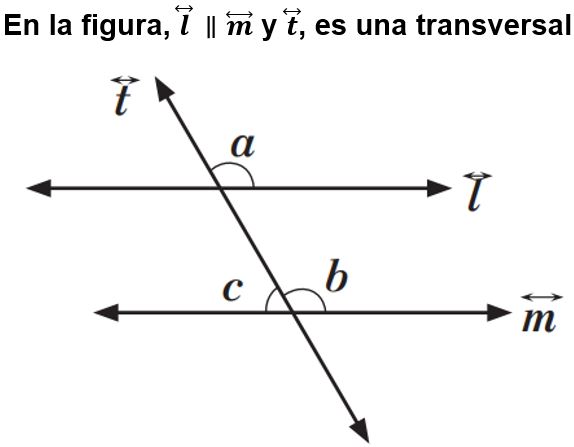 STOlimpíadas Quiz V: Paralelismo, ângulos e congruências 