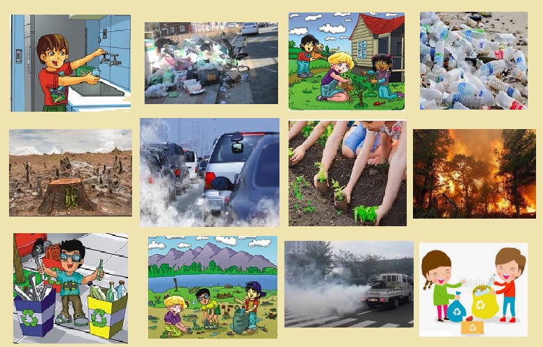 Imprimer Carte Interactive: El medio ambiente (biología - medio