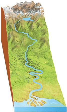 Print Map Quiz: Partes de los ríos (geología - partes del rio - 1º e.s.o.)