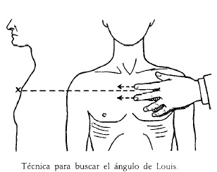 ángulo esternal