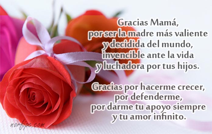 Happy Mother's Day Luchadoras! 