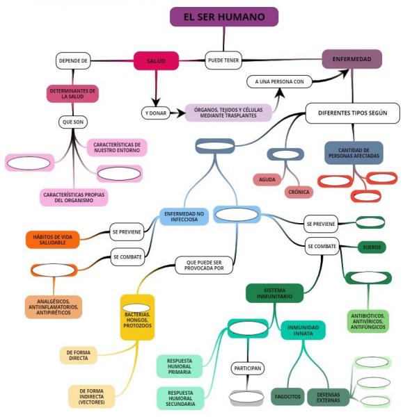 mapa conceptual de inmunidad