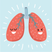 Print Memory Game: Sistema Respiratorio (biología - sistema ...