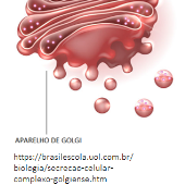 jogo-da-memoria-pra-imprimir-2 - Biologia Celular