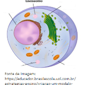 Jogo da memória - Educador Brasil Escola