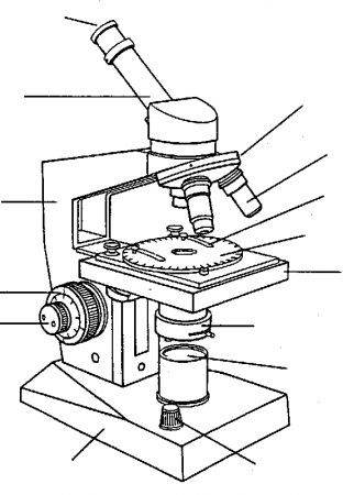 Print Map Quiz: partes del microscopio ()