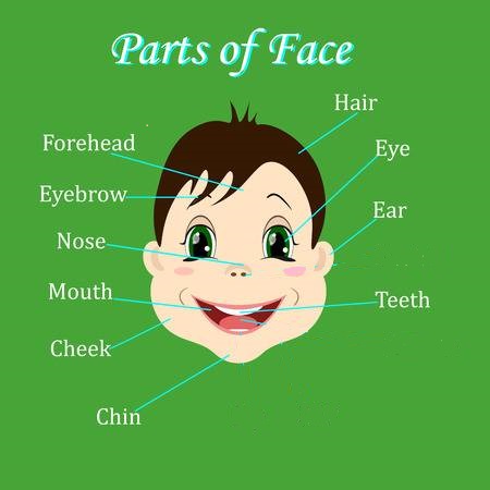 Print Map Quiz partes de la cara en ingles lengua Segundo