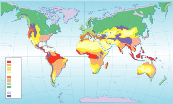 mapa climatico mundial Map Quiz: MAPA CLIMATICO DEL MUNDO (mapa   climas)