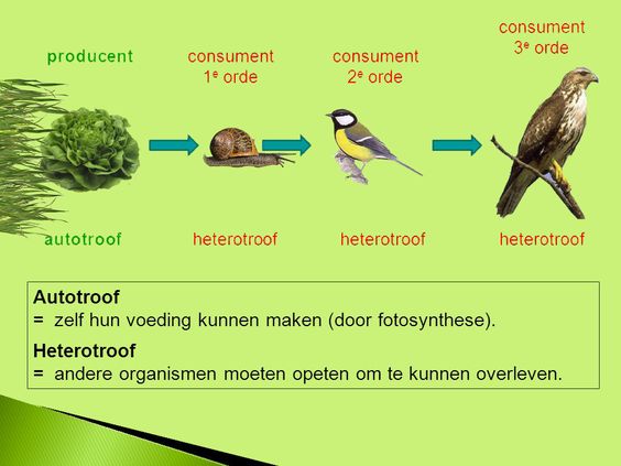 biotoop 5 letters