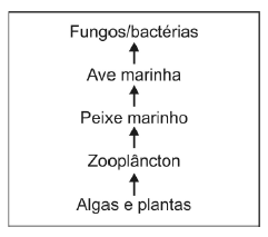 Quiz Estrutura Ecossistema