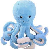 Print Memory Game: More Octopuses (Biology - K5 - octopus)