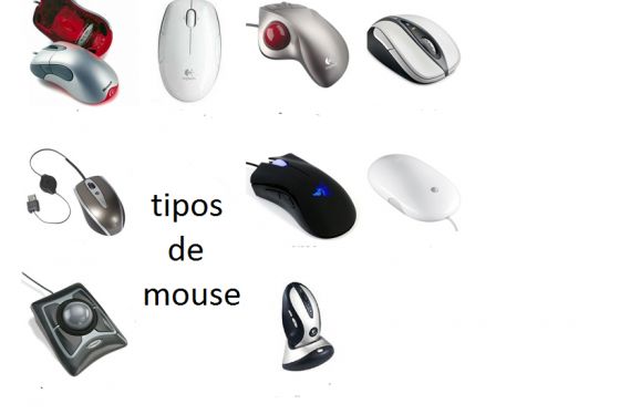 Departamento Respetuoso Variante Imprimer Carte Interactive: aprende los tipos de mouse ()