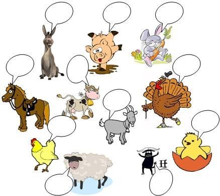 Map Quiz Los Animales Viviparos Y Oviparos Aniamles Viviparos Y