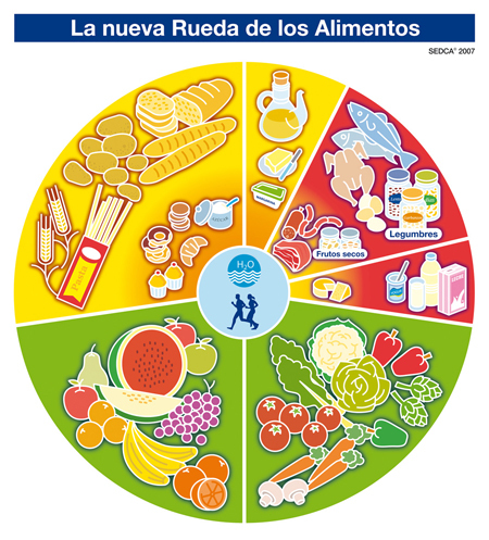 Los alimentos son seres vivos.