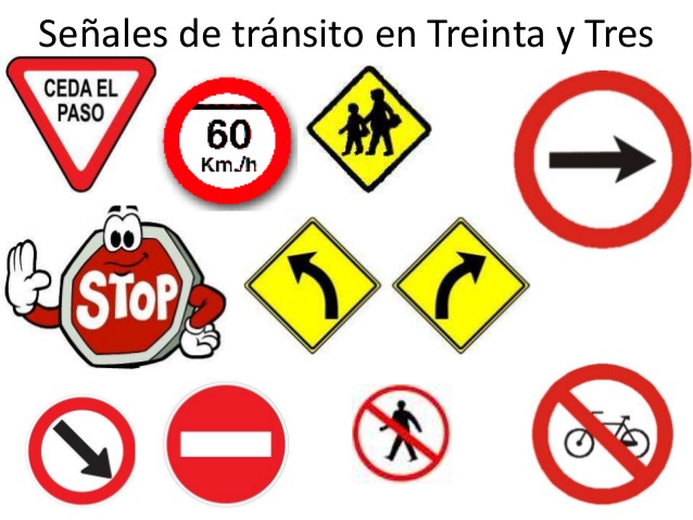 Que significa en transito shein