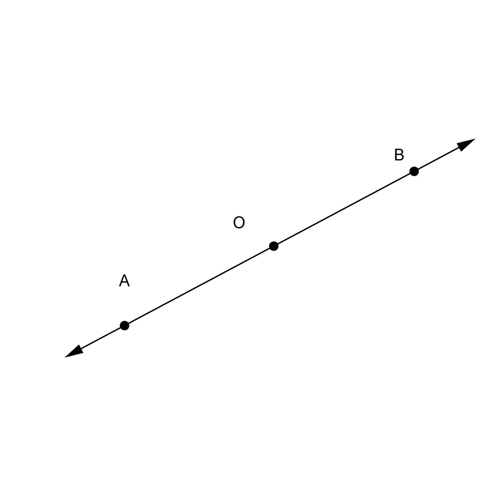 Print Yes or No Conceptos básicos de la geometría (1º Bachillerato