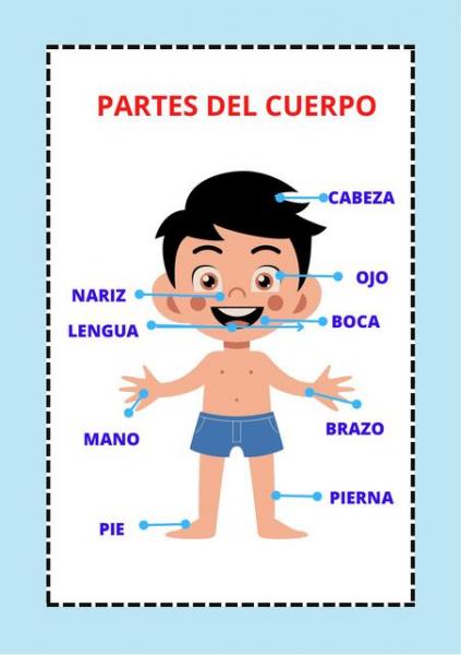 Print Map Quiz: Partes de mi cuerpo por fuera (biología - Preprimaria - Preescolar - las partes ...