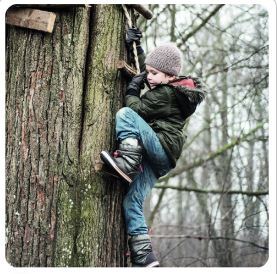CLIMB A TREE