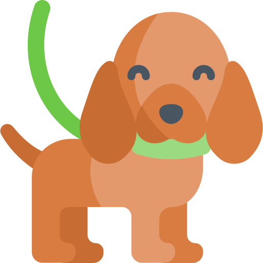 Pasear