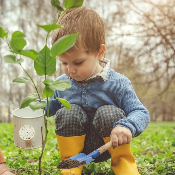 Print Quiz: Test Sobre Educación Ambiental ()