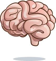 Es el "cerebro" de un robot. Es el elemento que recibe información de los sensores y basándose en ella "decide" qué hacen los actuadores.