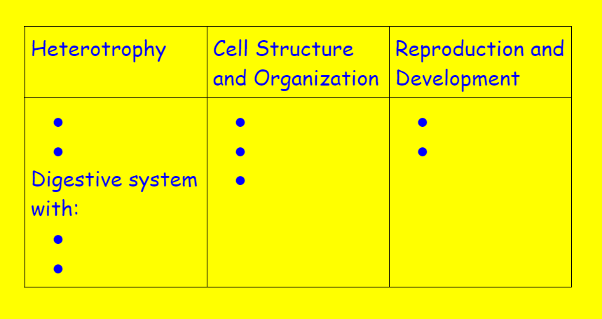 Development regulated by
homeobox genes