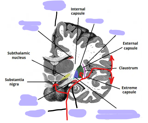 print-map-quiz-brain-part-2