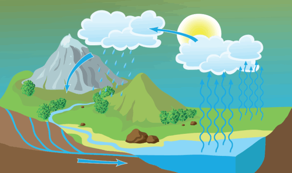 Print Map Quiz Ciclo Del Agua Fisica Tercer Grado Educacion Primaria Ciclo