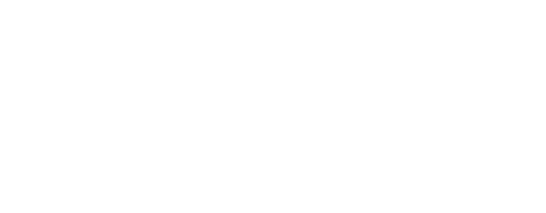 Logo Banner