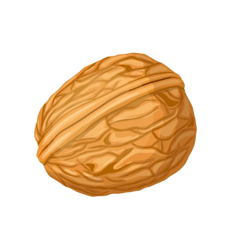 Nut