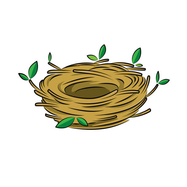 Nest