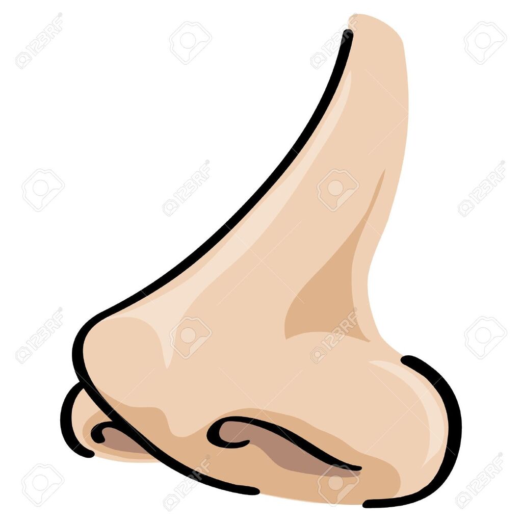 Nose
