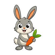 Rabbit 