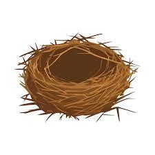 Nest 