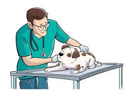 Vet 
