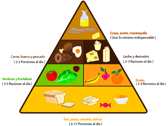 Quiz La Piramide Nutricional Biology Nutricion 5º Educacion