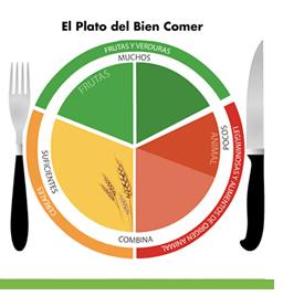 Map Quiz Plato Del Buen Comer Biologia Alimentacion