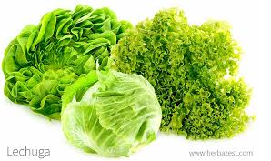 Map Quiz Plato del Bien Comer - Image686e512a0cb84 